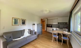 A modern living room with a cozy couch and a dining table. The open kitchen is well-equipped and there is plenty of daylight.