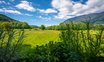 A large, green meadow surrounded by trees and gentle hills. The sky is blue with some white clouds.