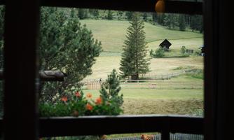 The view shows a green meadow with a large tree and a small wooden house. In the foreground, some flowers can be seen.