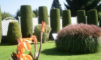A well-kept garden with artistically trimmed hedges and colorful flowers in the foreground. In the background, tall trees can be seen.