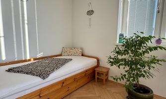 A cozy bedroom with a wooden bed and a small table. A plant stands next to the window, which provides plenty of natural light.