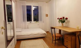 A simple room with a bed and a desk. A few flowers and a rug give the space a cozy atmosphere.