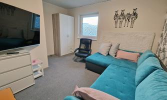 A cozy room with a blue sofa and a television. The walls are decorated with zebra motifs and a window lets in daylight.