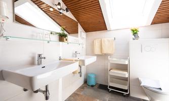 A modern bathroom with two sinks and plenty of natural light. The walls are bright, and there are plants for decoration.