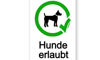 A sign indicating that dogs are allowed. It features a dog in a green circle with a check mark.