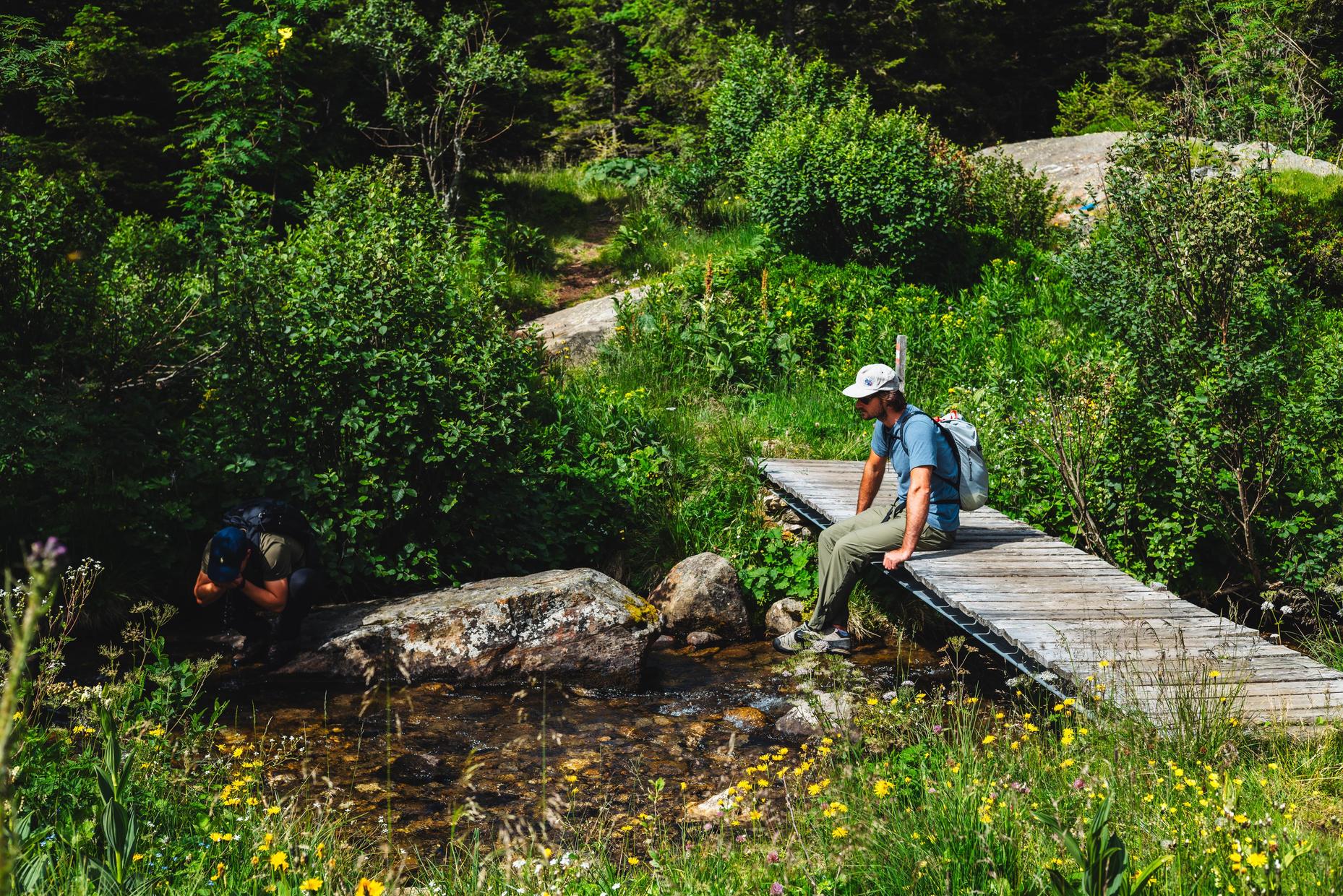 Wanderer auf Holzbrücke über Bach in bergiger Landschaft mit Bäumen und Blumen