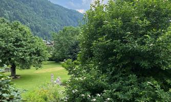 A green meadow with large trees and a view of the mountains in the background. The sky is partially cloudy and radiates a peaceful atmosphere.