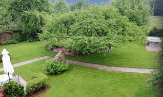 A green garden with plenty of grass and a large tree. In the background, gentle hills and a pavilion are visible.