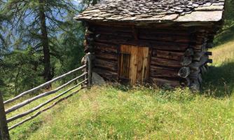 A rustic wooden cabin stands in a meadow, surrounded by trees. Forested hills can be seen in the background.