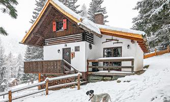A cozy wooden house in the snow, surrounded by tall trees. A dog stands on the snowy path in front of the house.