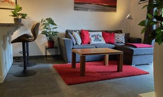 A cozy living room with a gray sofa, colorful cushions, and a wooden table. The floor is covered with a red carpet, and there are various plants in the room.