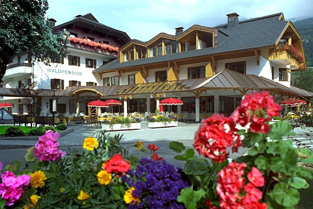 Waldpension Putz