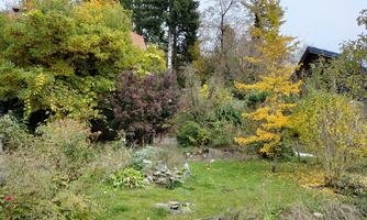 An autumn garden with colorful trees and plenty of greenery. In the background, there is a simple building.