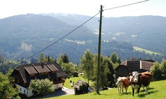 A picturesque mountain village with lush meadows and cows. In the background, majestic mountains and a clear sky can be seen.