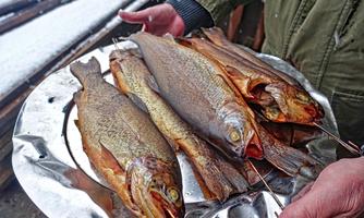 Mölltal Mountain Trout, a specialty of the host