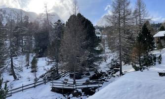 A winter landscape with snow-covered trees and a small brook. The sun shines behind the mountains.