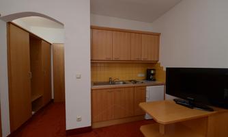 A small kitchen with wooden cabinets, a refrigerator, and a television. The room has a red carpet and an open layout.