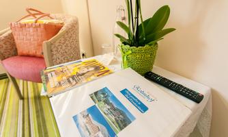 A table with a folder, a remote control, and a green plant. In the background, a chair and a bag are visible.