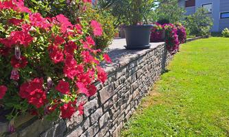 A beautiful garden with colorful flowers in pots and lush greenery. A well-maintained stone wall gives the area structure.