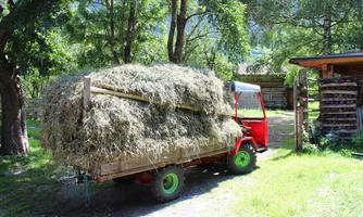 A red car is standing on a green meadow, loaded with fresh hay. Trees and a barn can be seen in the background.