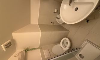 A small bathroom with a shower, toilet, and sink. The walls are brightly tiled and there are some decorative plants.
