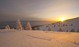 A snowy landscape with snow-covered trees and a sunset in the background. The gentle hills and the golden light create a tranquil winter atmosphere.