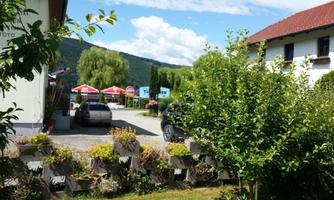 A tranquil landscape with parked cars and shade-giving trees. The surroundings appear inviting and green with a blue sky in the background.