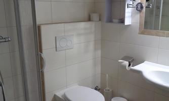 A modern bathroom with a shower, a washbasin, and a toilet. The walls are tiled in light colors and there is a large mirror.