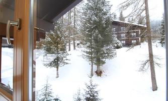 A view from a window of a snow-covered landscape with pine trees. In the background, some houses are visible.
