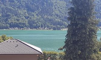 A tranquil lake surrounded by green mountains. In the foreground, the roof of a house and a large fir tree can be seen.