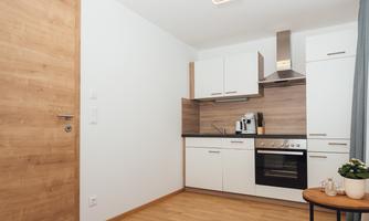 A modern kitchen with a wooden shelf and white cabinets. There is a small plant on the table.