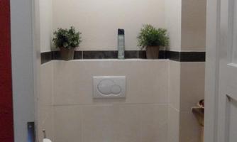 A small, bright bathroom with a white toilet and a window.  
Plants and modern fixtures give the room an inviting impression.