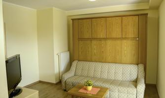 A simple living room with a light sofa and a wooden wall cabinet. A small table with a plant is in the middle, and a television is placed in the corner.