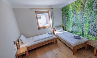 A simple room with two wooden single beds. On the wall, there is a wall-sized picture of birch forests.