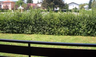 A green hedge surrounds a well-maintained lawn. In the background, some houses and a blue sky can be seen.