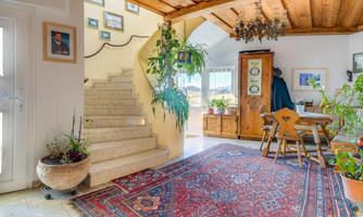 An inviting entrance area with a staircase and a cozy seating corner. The atmosphere is enhanced by numerous plants and a colorful rug.