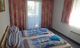A simple room with two single beds and colorful bedding. The window lets in plenty of daylight and the curtains are bright and airy.