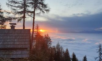 A picturesque sunset above a blanket of clouds, viewed from a mountain hut. In the foreground, tall trees and a green meadow stand.