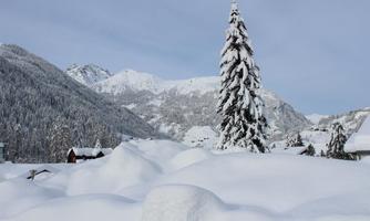 A winter landscape with plenty of snow and a tall, snow-covered tree. In the background, mountains and a peaceful, snowy environment can be seen.