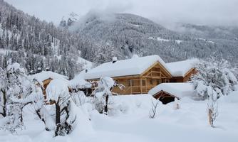 A snowy landscape with wooden chalets under a gray sky. Trees and bushes are thickly covered with snow.