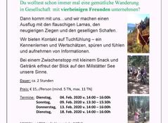 Bild Bild
