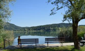 A peaceful lake surrounded by green trees and gentle hills. In the foreground, a child sits on a bench and enjoys the scene.