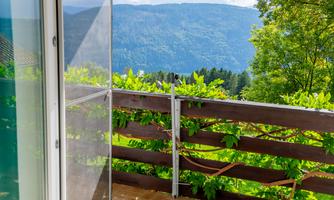 A balcony with a view of a green landscape and mountains. The view is bright and inviting, with plenty of natural light.