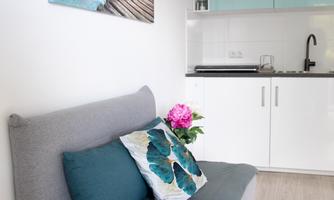 Cozy living kitchen with gray sofa bed, fresh flowers, and modern kitchenette. A compact space where you can cook, eat, and relax together.