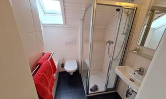 A modern bathroom with a shower, a sink, and a toilet. Red towels hang on the wall, and the room design is simple and bright.