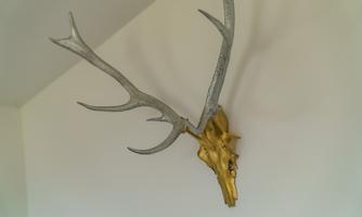An artistic deer head with a golden and silver color scheme. The trophy hangs on a white wall.