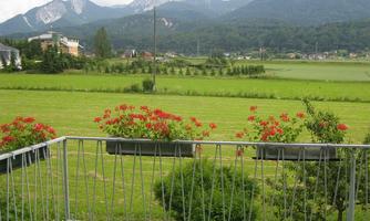 A view from a balcony overlooking green fields and mountains in the background. Red flowers provide a beautiful contrast to the landscape.