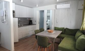 A modern apartment with an open kitchen and a dining area. The living space is bright and welcoming, featuring a green sofa and a table.