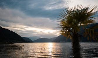 A tranquil lake at sunset, surrounded by mountains. In the foreground stands a palm tree that enriches the picture.