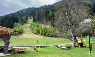 A picturesque meadow with benches and tables, surrounded by trees and mountains. In the background, gentle hills and a wooded slope can be seen.